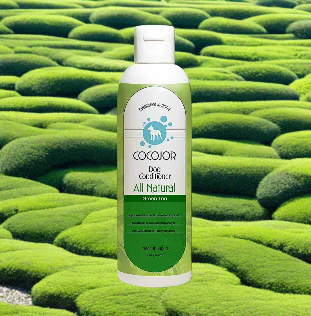 GREEN TEA SERENITY CONDITIONER - (The Antioxidant Powerhouse)