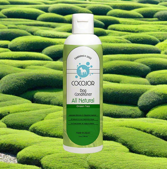 GREEN TEA SERENITY CONDITIONER - (The Antioxidant Powerhouse)