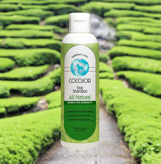 GREEN TEA SERENITY SHAMPOO - (The Antioxidant Powerhouse)