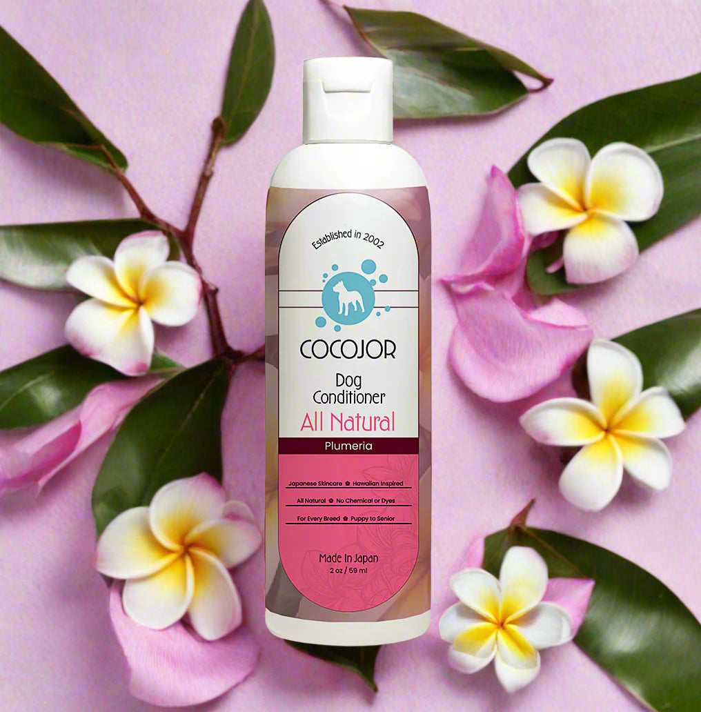 PLUMERIA PARADISE CONDITIONER - (The Healer)