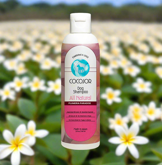 PLUMERIA PARADISE SHAMPOO - (The Healer)