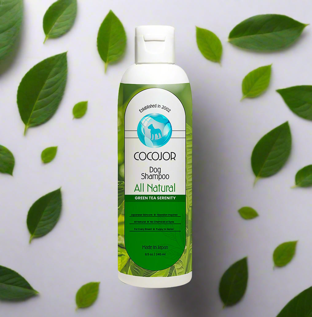 GREEN TEA SERENITY SHAMPOO - (The Antioxidant Powerhouse)