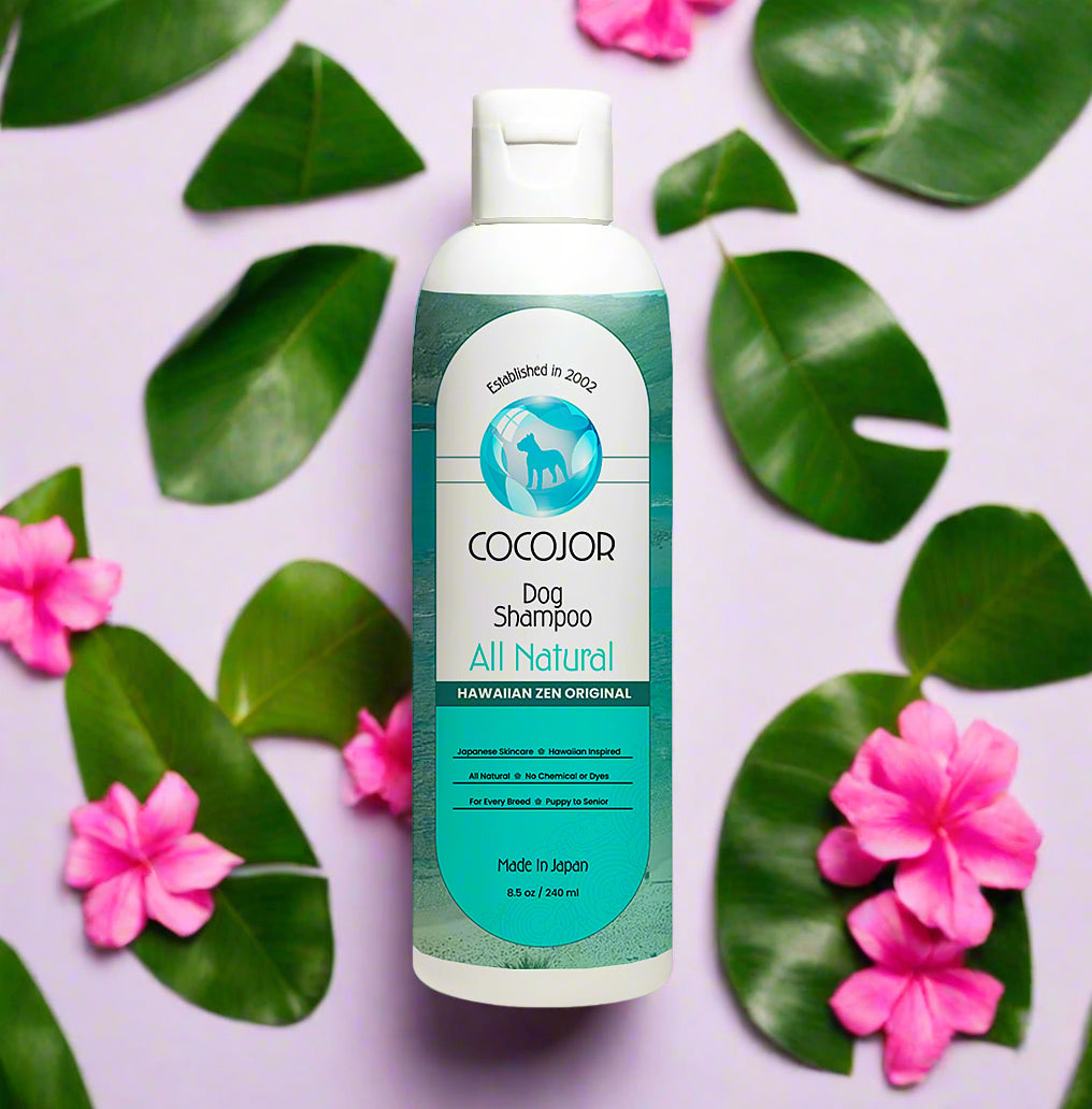 Cocojor dog shampoo bottle on a white background
