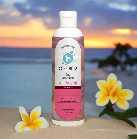 PLUMERIA PARADISE CONDITIONER - (The Healer)