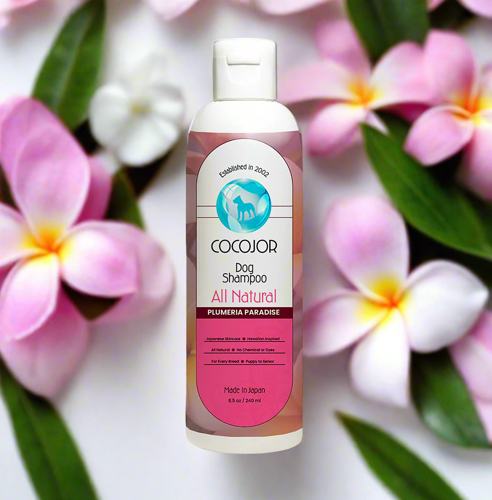 PLUMERIA PARADISE SHAMPOO - (The Healer)
