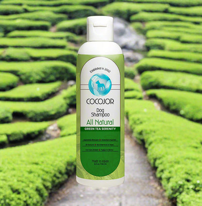 GREEN TEA SERENITY SHAMPOO - (The Antioxidant Powerhouse)