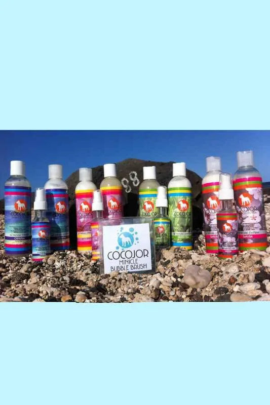 Shampoo and Conditioner Bundle Offer